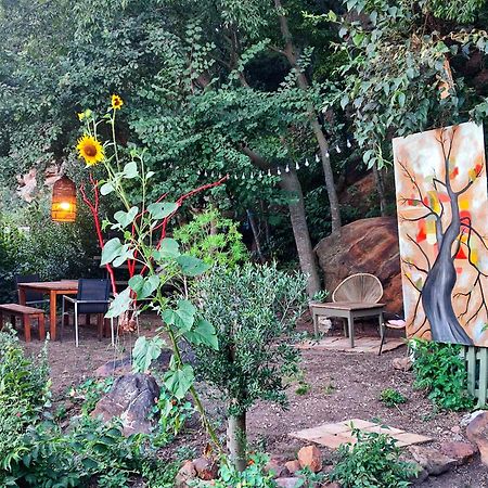 Un Pied Dans La Foret La Capelle-et-Masmolene Exterior foto